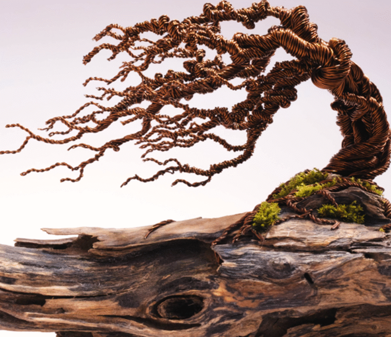 Wind Swept Bonsai-001