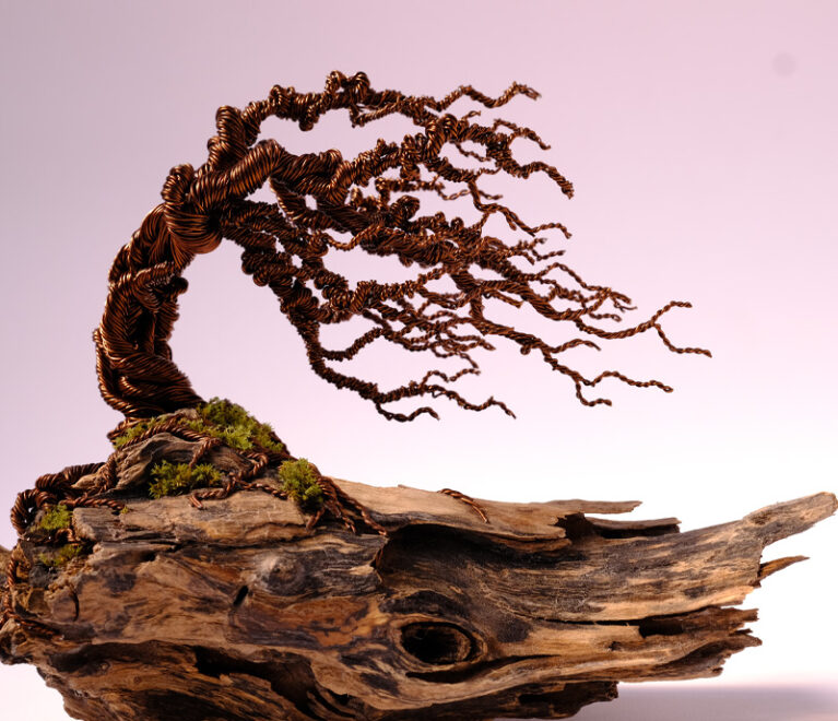 Windswept-wirebonsai-feature