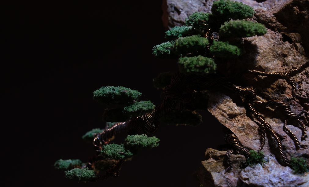 Cascading-bonsai-terramist-studio