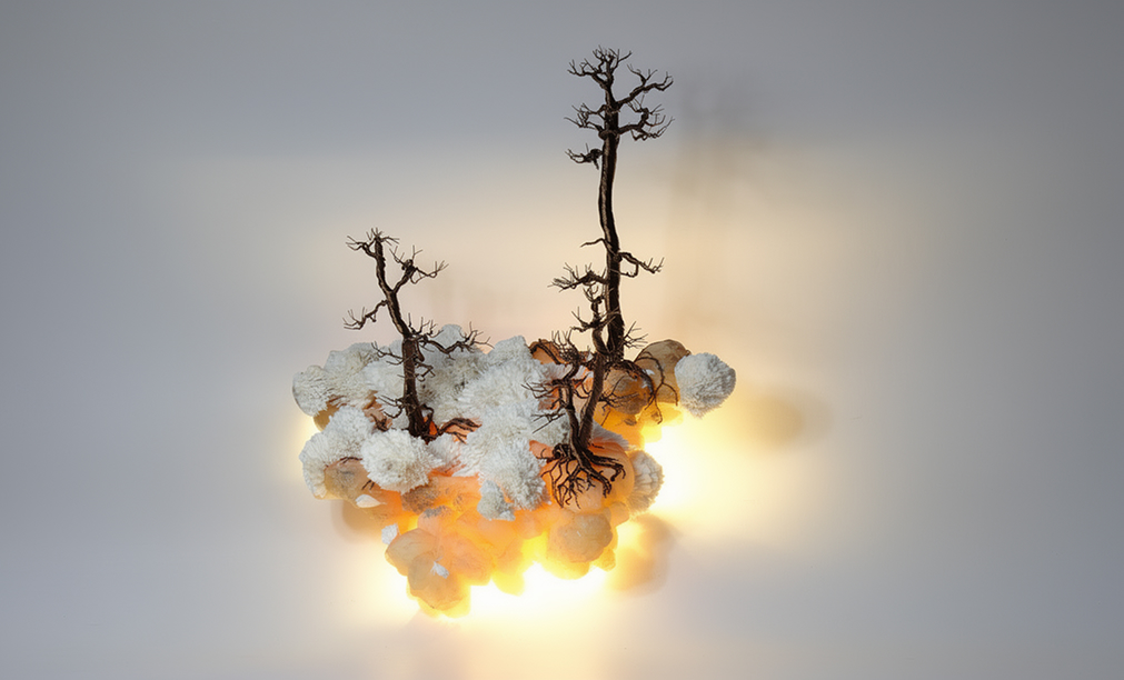 Forest-in-the-cloud-terramist-studio