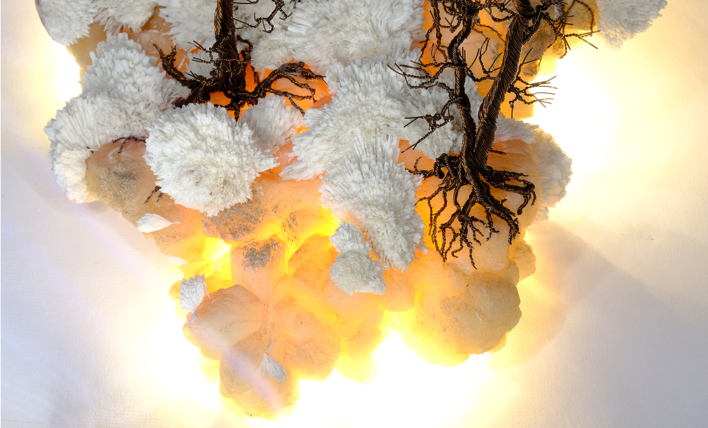 Forest-in-the-cloud-2