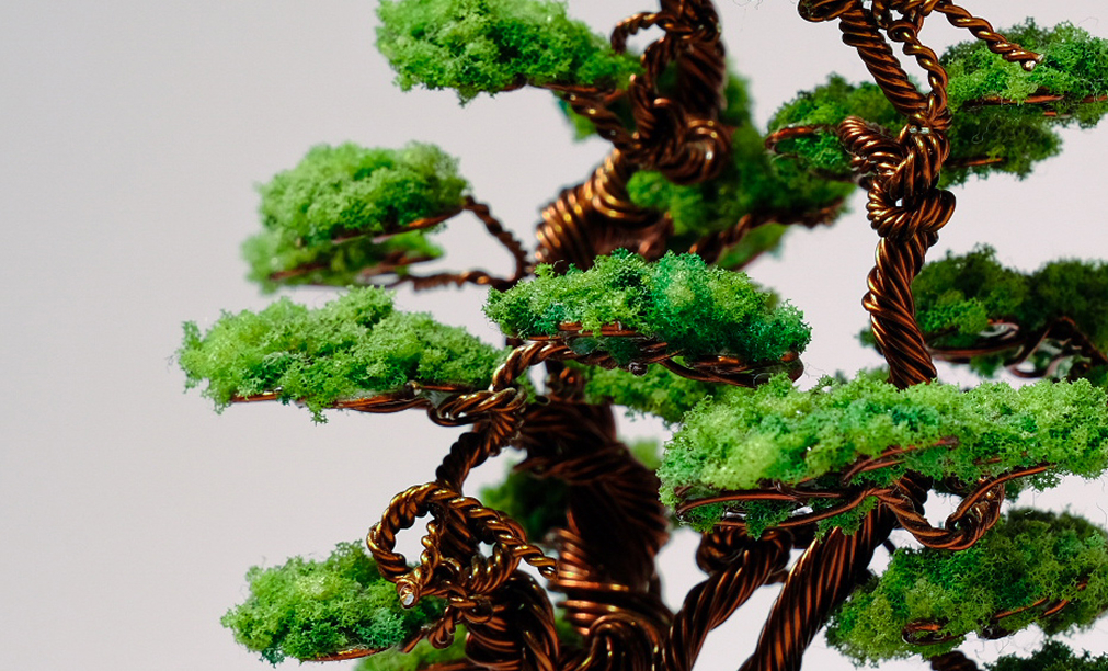 twin-trunk-bonsai-terramist