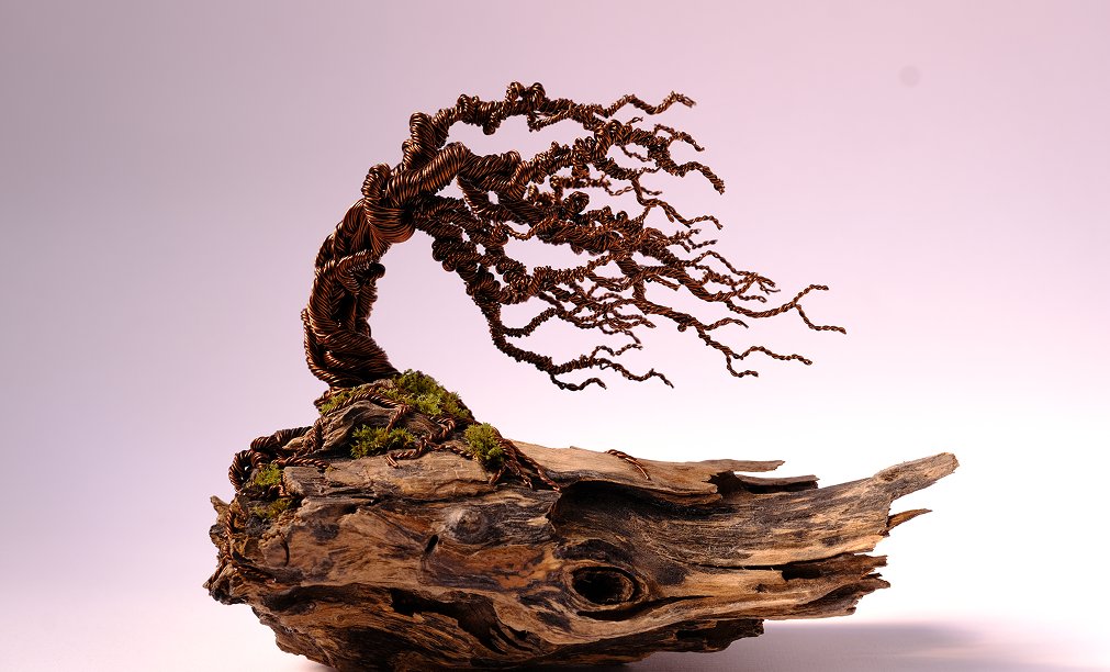 wire-bonsai-terramist-studio